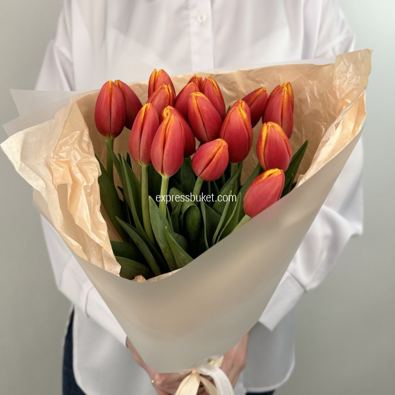 Поцелуй тюльпанов