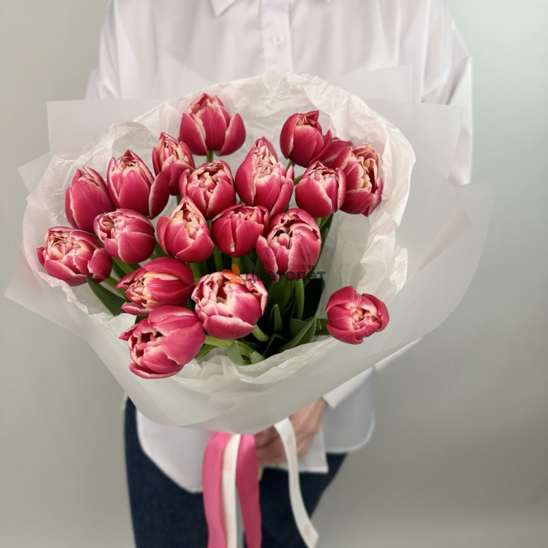 Весенний Этюд тюльпанов