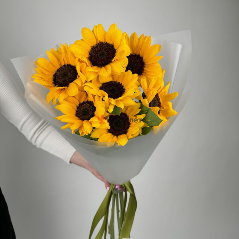 Весенние подсолнухи