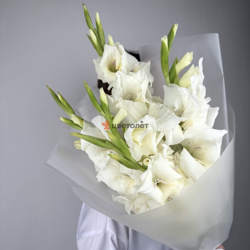 Гармония гладиолусов