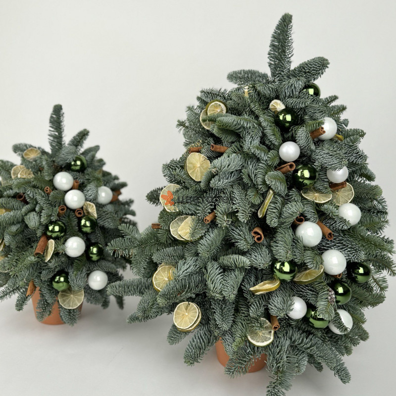 Грандиозная зима